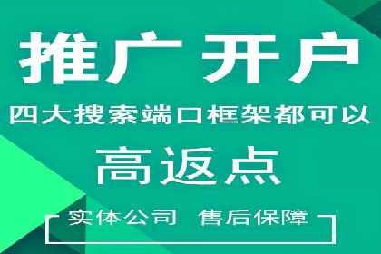 SEM竞价代运营公司案例深度解析
